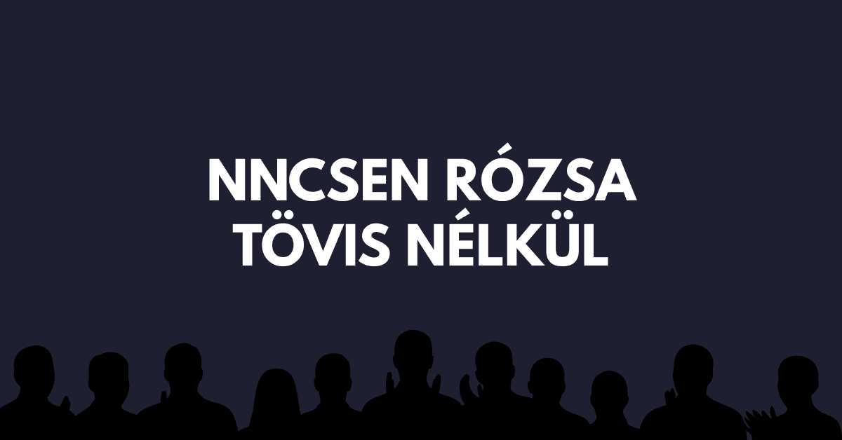 agykarbantartó kvíz szerencsekerék 2