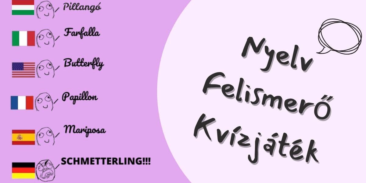 fejtörő kvíz nyelv felismerő játék