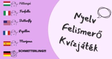 fejtörő kvíz nyelv felismerő játék