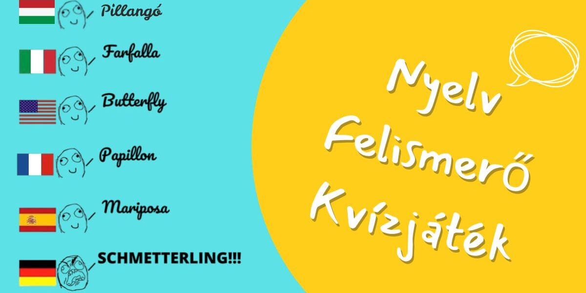 fejtörő kvíz nyelv felismerő játék v2