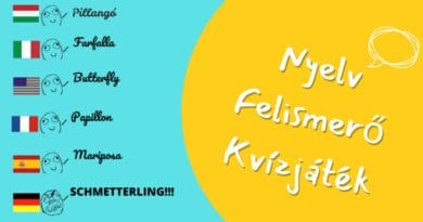 fejtörő kvíz nyelv felismerő játék v2