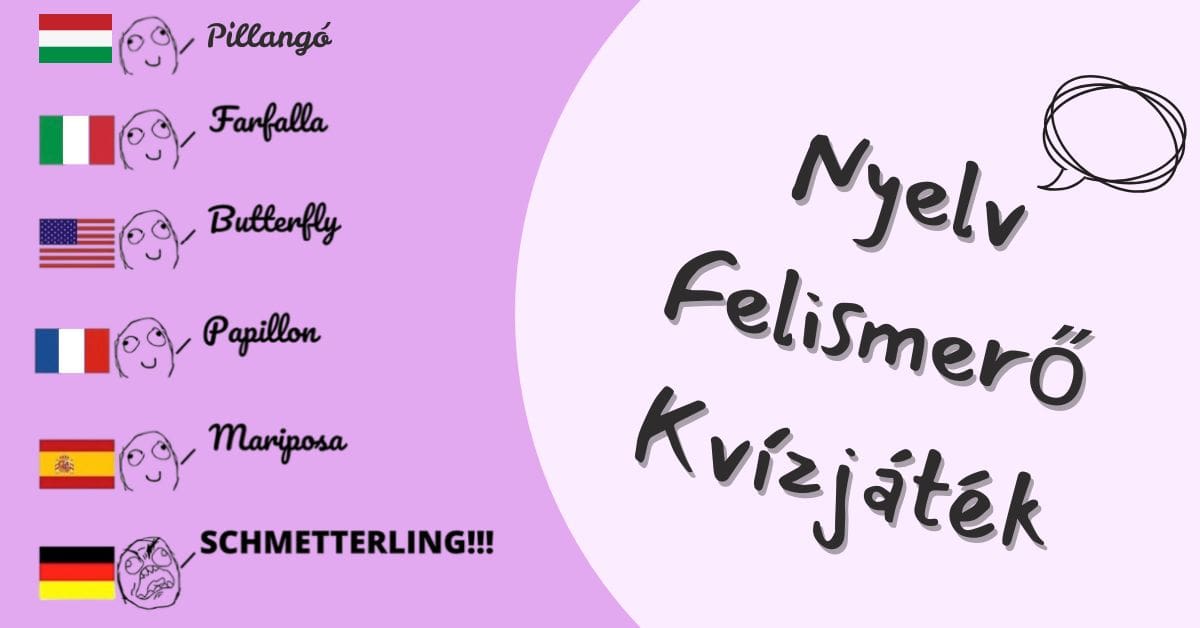 fejtörő kvíz nyelv felismerő játék