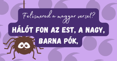 irodalmi kvíz versfelismerő 2025 46 cover