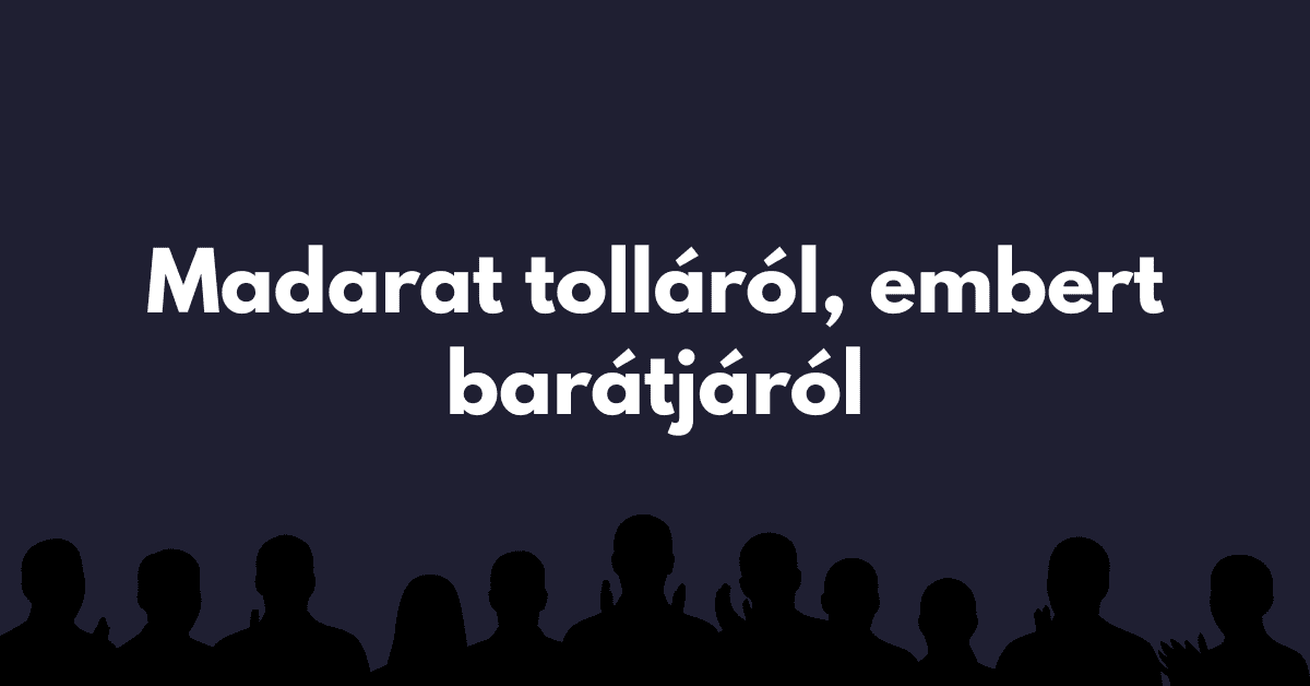 műveltségi kvíz szerencsekerek valasz 2