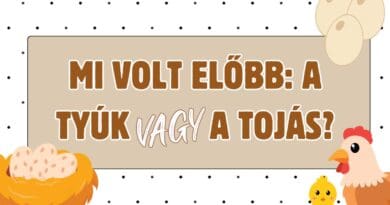 napi kvíz mi volt elobb tyluk vagy tojas