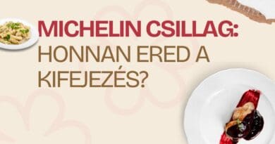 napi kvíz michelin eredete