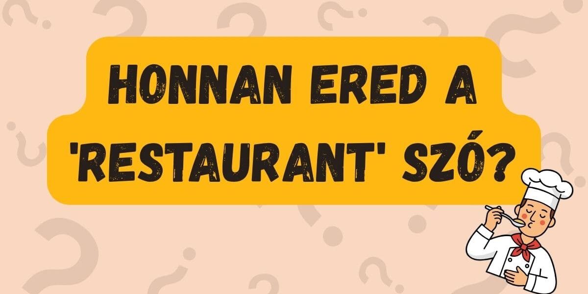 napi kvíz restaurant eredete