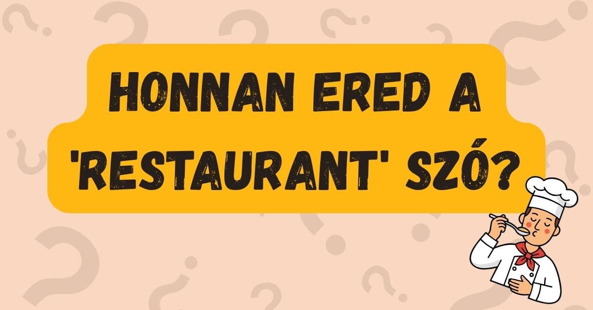 napi kvíz restaurant eredete