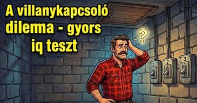gyors iq teszt villanykapcsoló dilemma cover